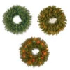 24" Albany Fir Artificial Christmas Wreath -Deals AMS Store 088605 2