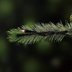 Pre-Lit LED Color Blast Lincoln Fir Quick Set Artificial Christmas Tree With Remote Control 19 Pre-Lit LED Color Blast Lincoln Fir Quick Set Artificial Christmas Tree With Remote Control -Deals AMS Store 094215 9