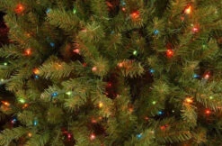 Colorado Fir 6.5' Dual Color PowerConnect™ Pre-Lit Artificial Christmas Tree 11 Colorado Fir 6.5' Dual Color PowerConnect™ Pre-Lit Artificial Christmas Tree -Deals AMS Store 227124 3