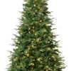 Parkview Fir 7.5' Warm White LED Pre-Lit Artificial Christmas Tree -Deals AMS Store 989813