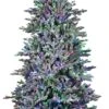 7' Flocked Appalachian Pre-Lit Artificial Christmas Tree -Deals AMS Store 990022 2