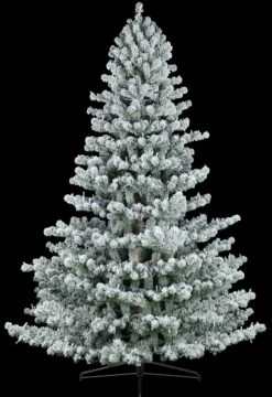 Deals AMS Store -Deals AMS Store 992912