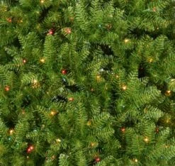 7.5' New Carrington Instant Lite Pole Pre-Lit Artificial Christmas Tree -Deals AMS Store 993113 2