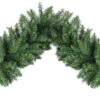 9' Non-Lit Albany Fir Christmas Garland -Deals AMS Store 994255