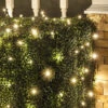 4' X 6' Dome Net Style LED Shrub Christmas Lights -Deals AMS Store 997449 3