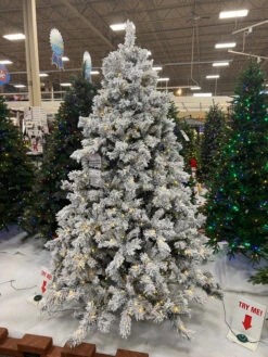 Deals AMS Store -Deals AMS Store 998005 3